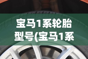 宝马1系轮胎型号(宝马1系轮胎型号是多少) 宝马1系轮胎型号(宝马1系轮胎型号是多少)