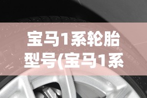 宝马1系轮胎型号(宝马1系轮胎型号是多少) 宝马1系轮胎型号(宝马1系轮胎型号是多少)