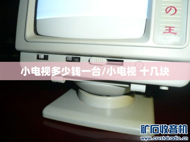 小电视多少钱一台/小电视 十几块