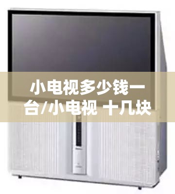 小电视多少钱一台/小电视 十几块