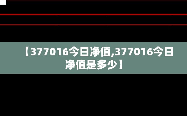 【377016今日净值,377016今日净值是多少】