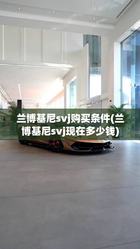 兰博基尼svj购买条件(兰博基尼svj现在多少钱)