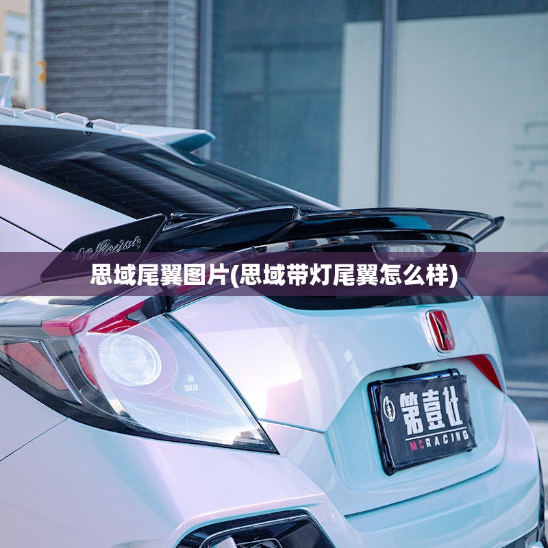 思域尾翼图片(思域带灯尾翼怎么样)