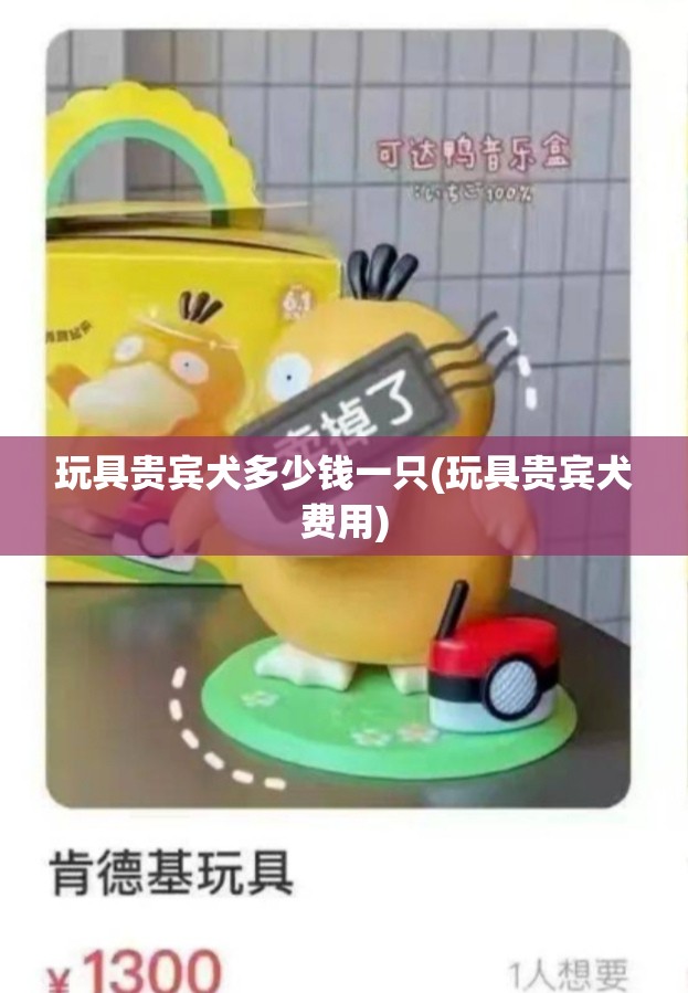 玩具贵宾犬多少钱一只(玩具贵宾犬费用) 玩具贵宾犬多少钱一只(玩具贵宾犬费用)