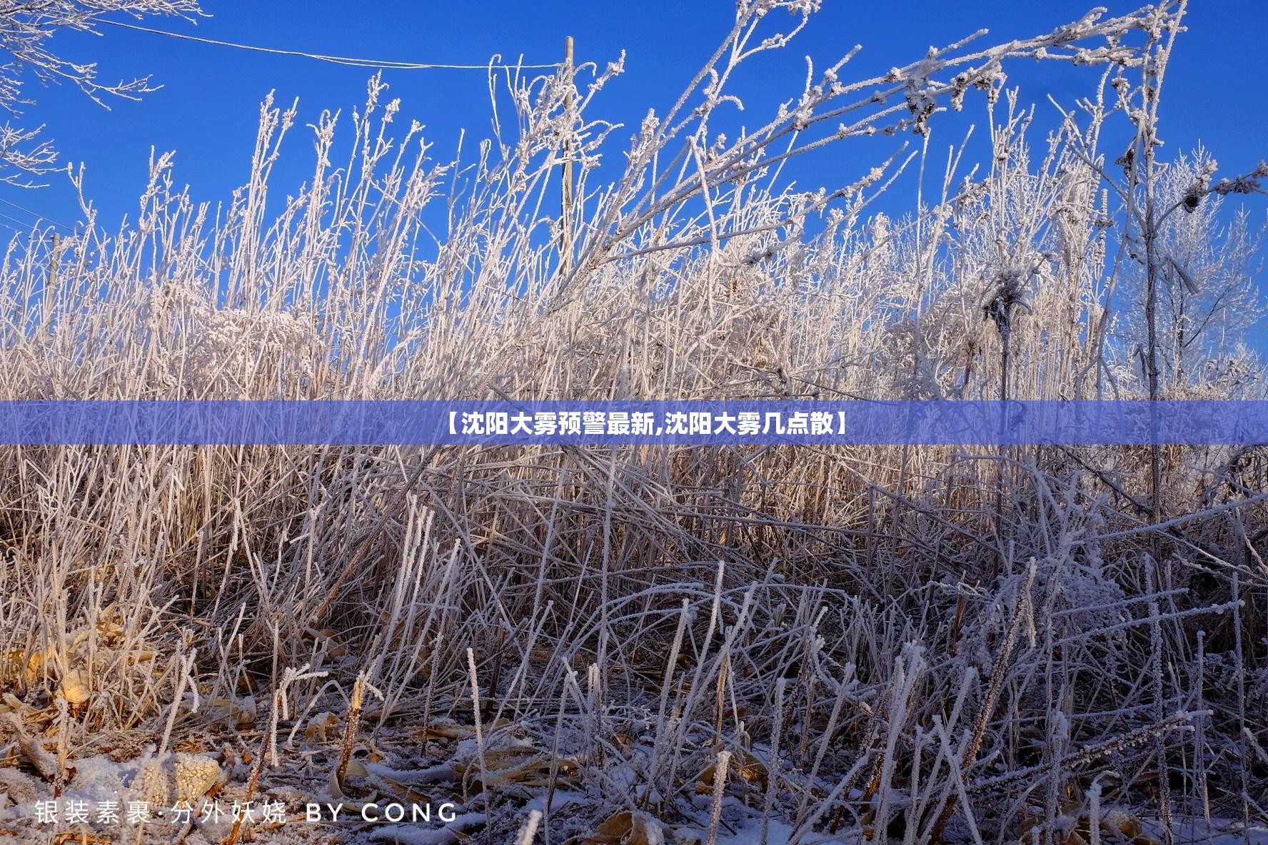 【沈阳大雾预警最新,沈阳大雾几点散】