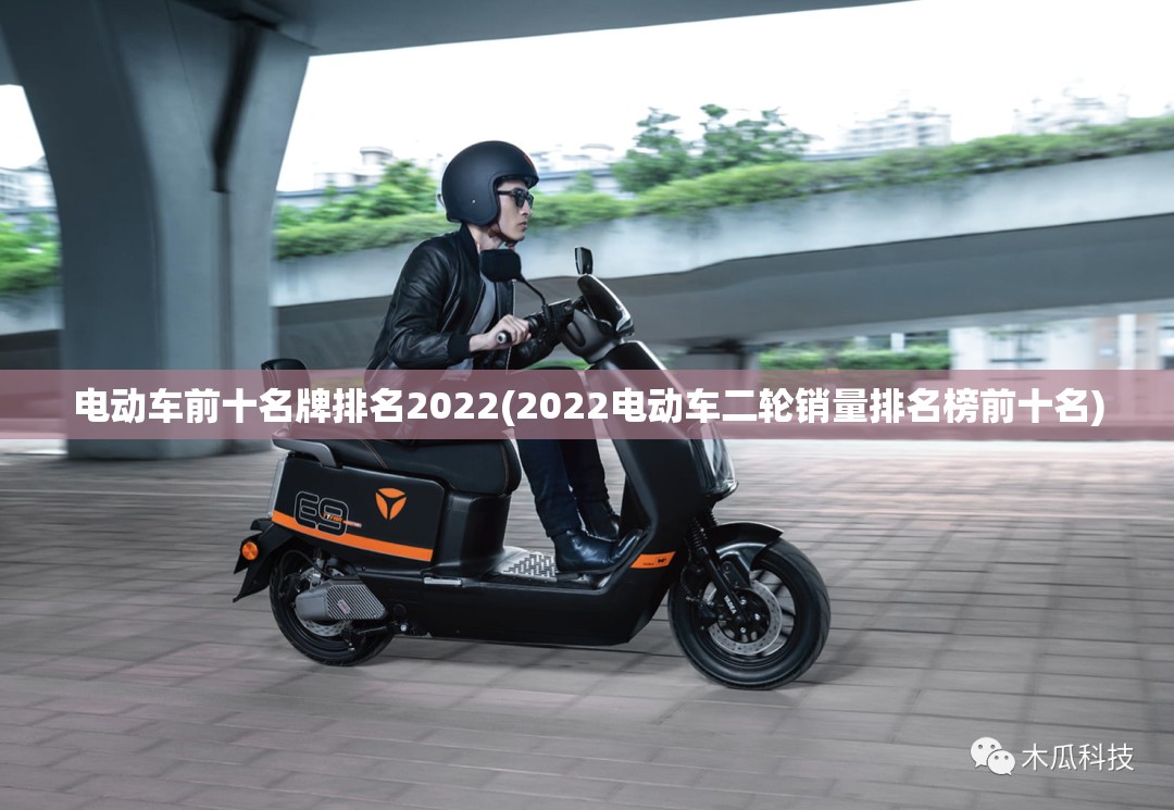 电动车前十名牌排名2022(2022电动车二轮销量排名榜前十名)
