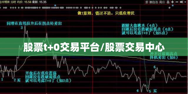 股票t+0交易平台/股票交易中心