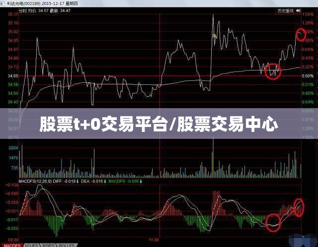 股票t+0交易平台/股票交易中心