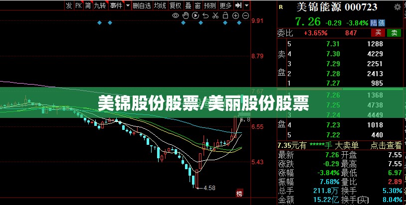 美锦股份股票/美丽股份股票