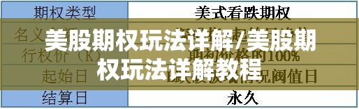美股期权玩法详解/美股期权玩法详解教程