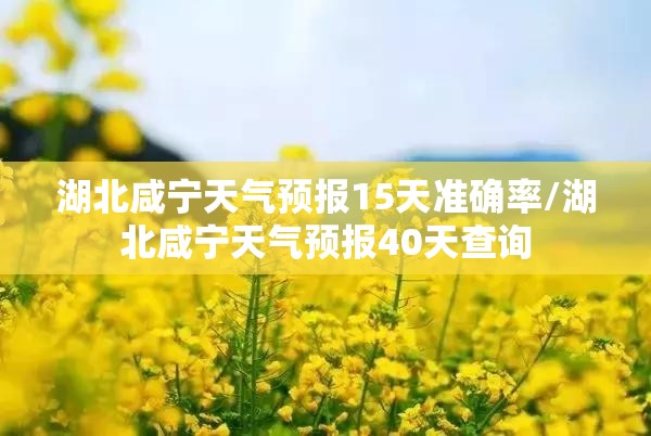 湖北咸宁天气预报15天准确率/湖北咸宁天气预报40天查询 湖北咸宁天气预报15天准确率/湖北咸宁天气预报40天查询