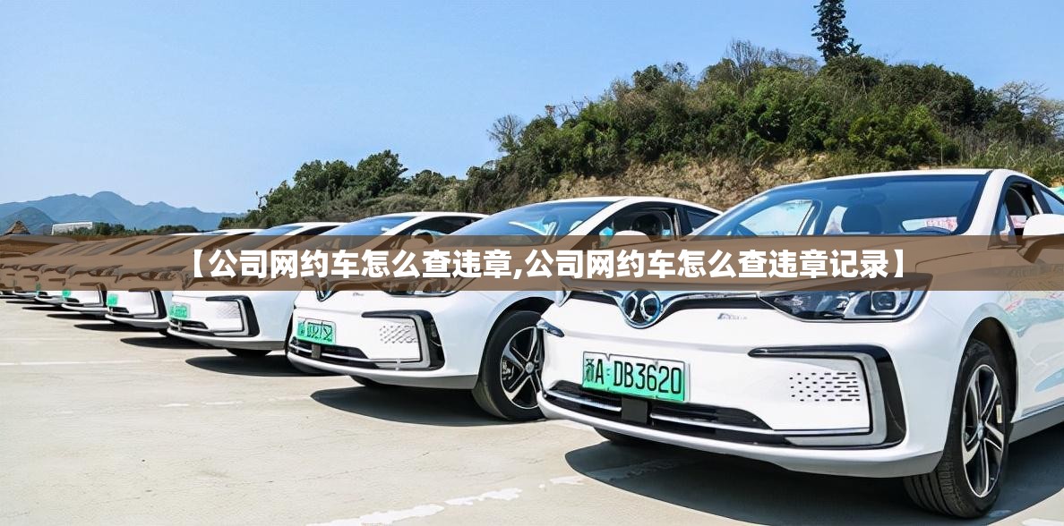 【公司网约车怎么查违章,公司网约车怎么查违章记录】