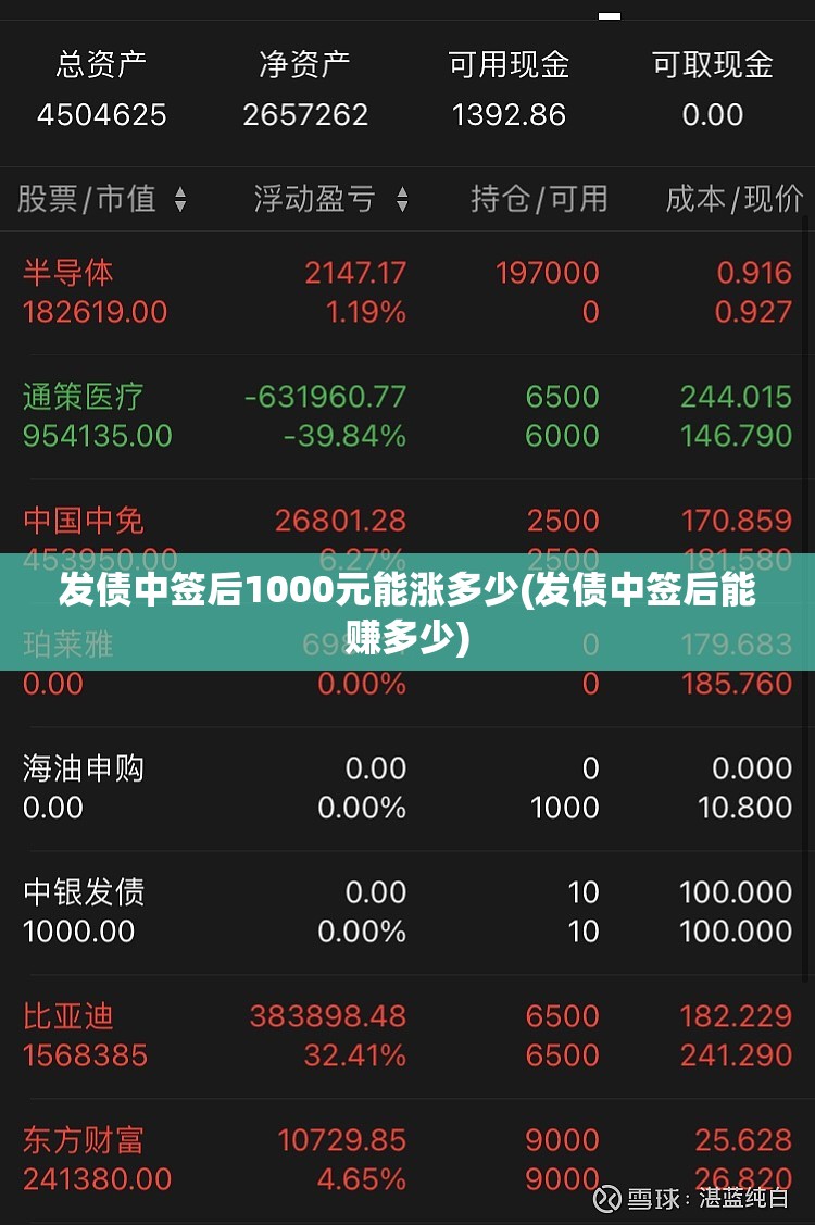 发债中签后1000元能涨多少(发债中签后能赚多少)