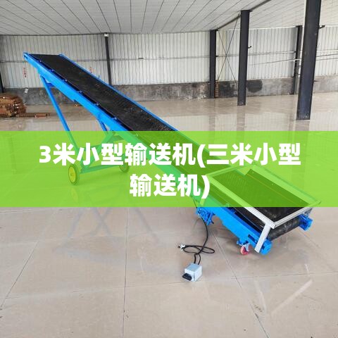 3米小型输送机(三米小型输送机)