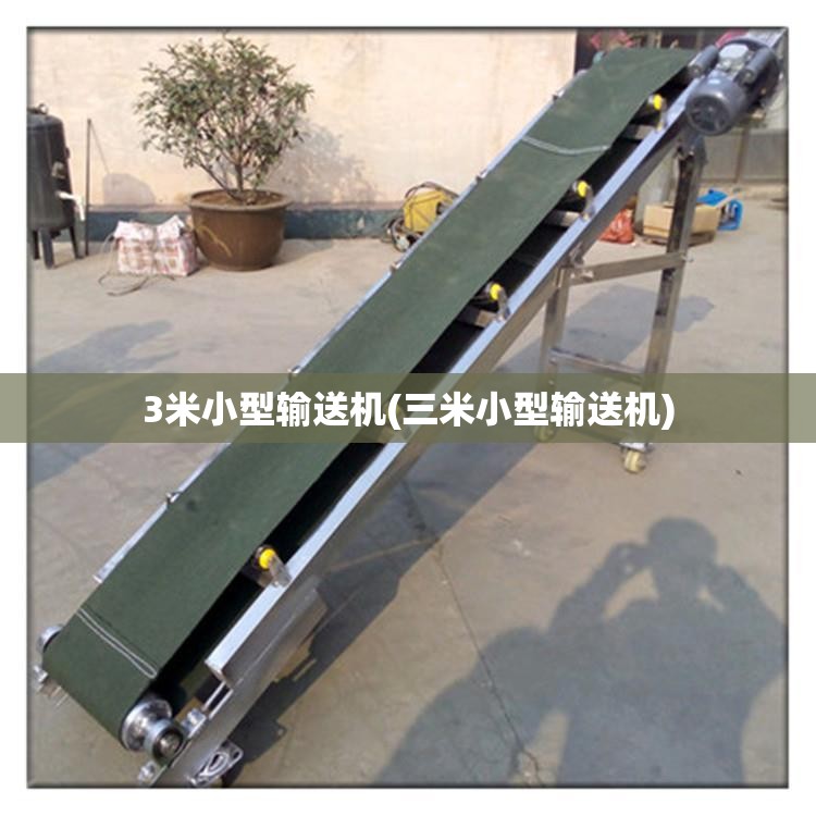 3米小型输送机(三米小型输送机)