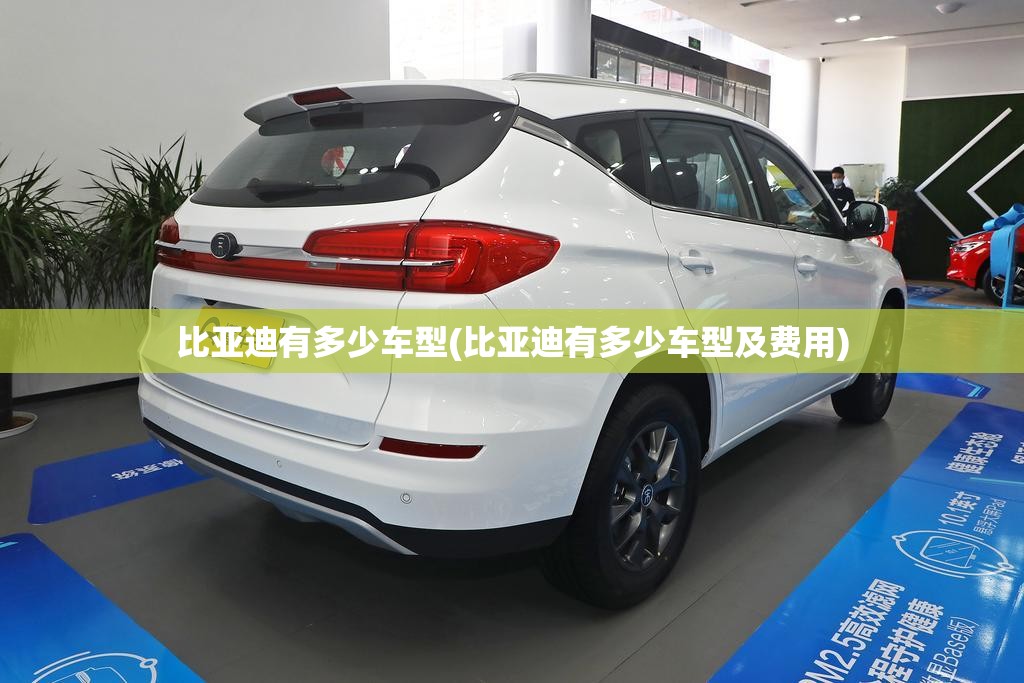比亚迪有多少车型(比亚迪有多少车型及费用)
