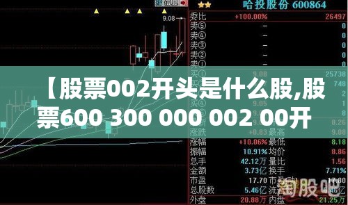 【股票002开头是什么股,股票600 300 000 002 00开头的都代表什么】