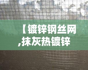 【镀锌钢丝网,抹灰热镀锌钢丝网】