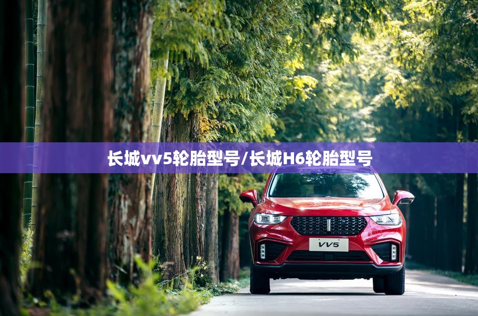 长城vv5轮胎型号/长城H6轮胎型号