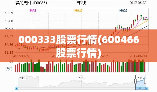 000333股票行情(600466股票行情) 000333股票行情(600466股票行情)