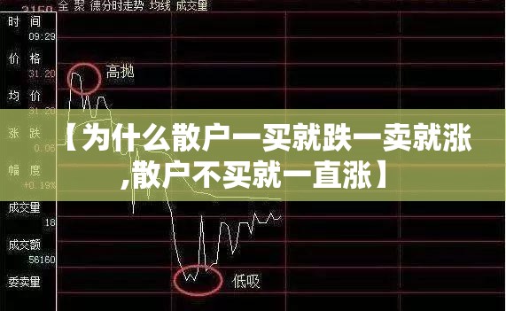 【为什么散户一买就跌一卖就涨,散户不买就一直涨】