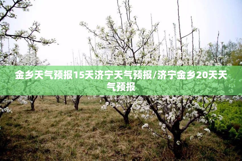 金乡天气预报15天济宁天气预报/济宁金乡20天天气预报 金乡天气预报15天济宁天气预报/济宁金乡20天天气预报