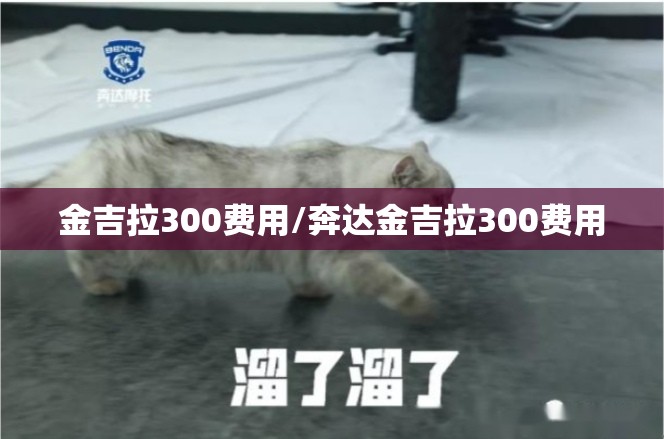 金吉拉300费用/奔达金吉拉300费用 金吉拉300费用/奔达金吉拉300费用