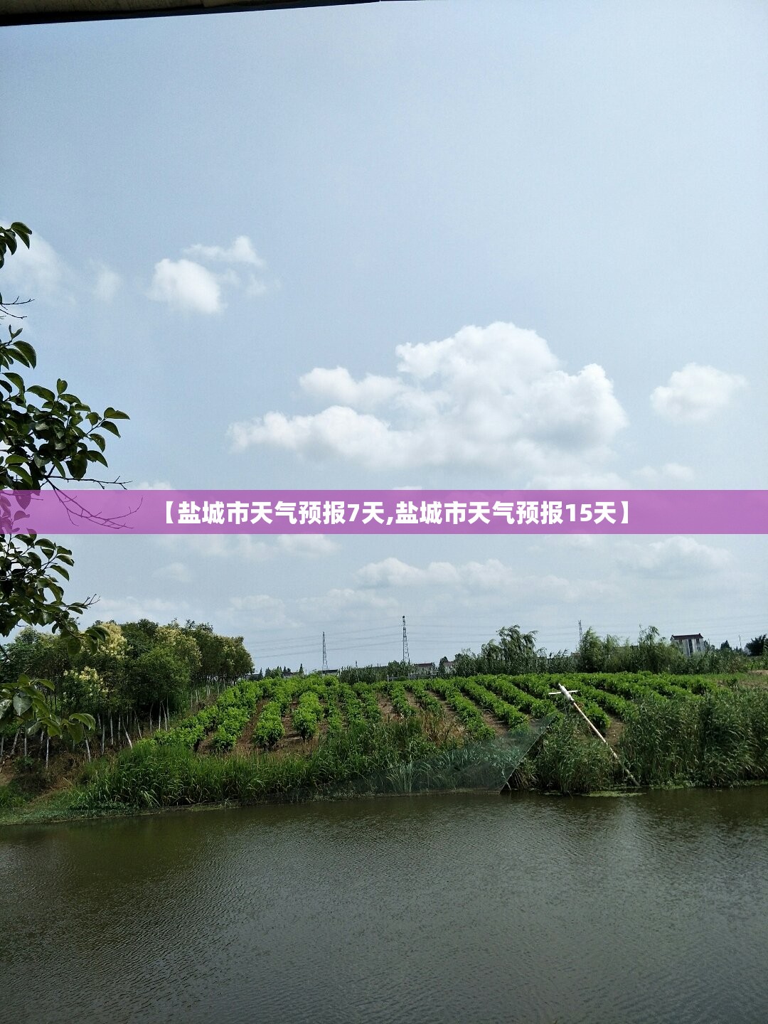 【盐城市天气预报7天,盐城市天气预报15天】