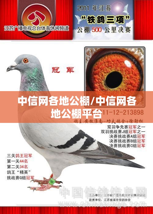 中信网各地公棚/中信网各地公棚平台