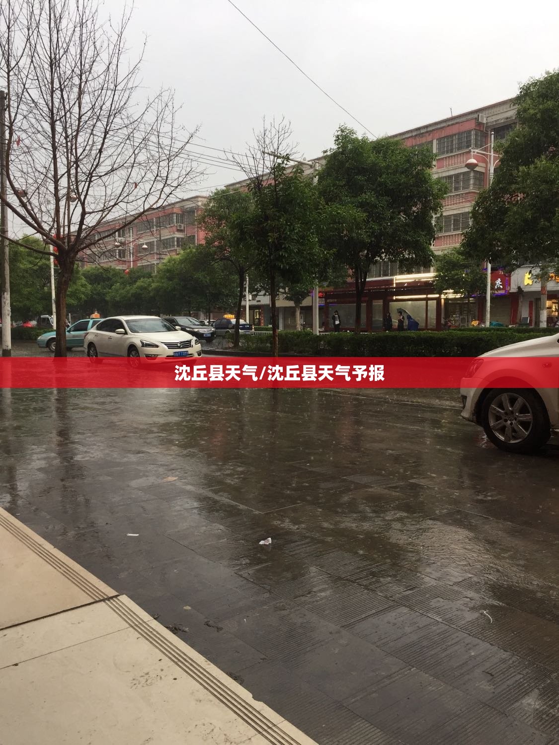 沈丘县天气/沈丘县天气予报