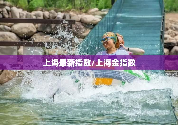 上海最新指数/上海金指数
