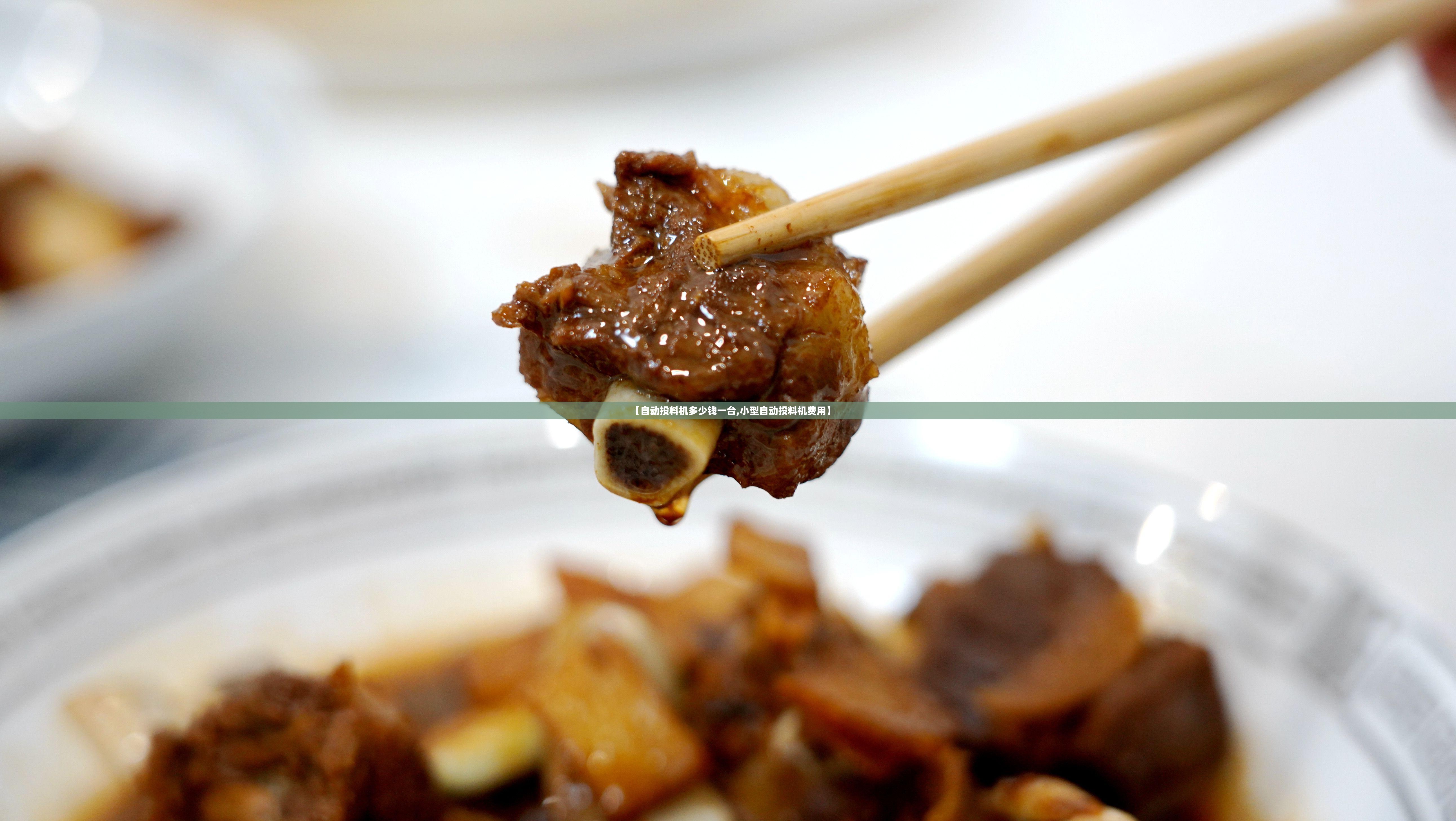 【自动投料机多少钱一台,小型自动投料机费用】