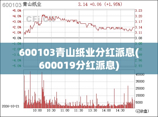 600103青山纸业分红派息(600019分红派息)