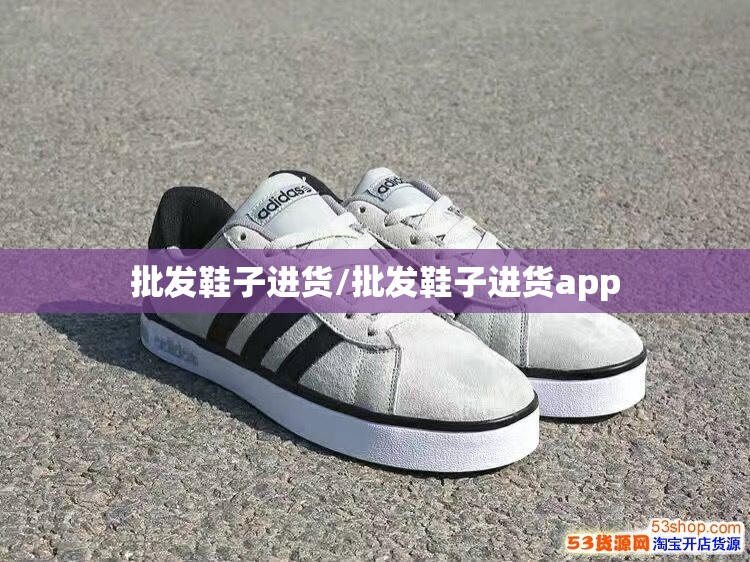 批发鞋子进货/批发鞋子进货app