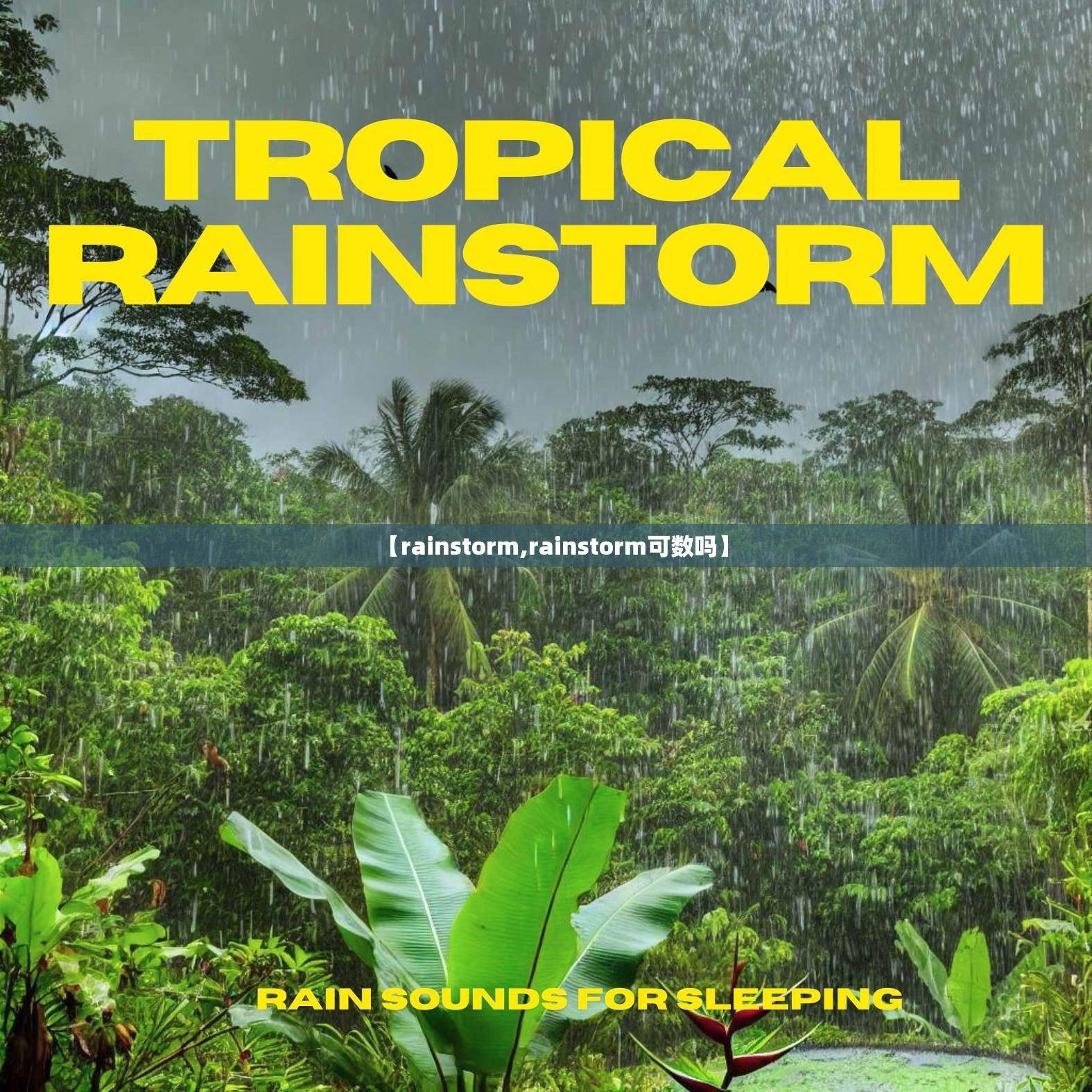 【rainstorm,rainstorm可数吗】