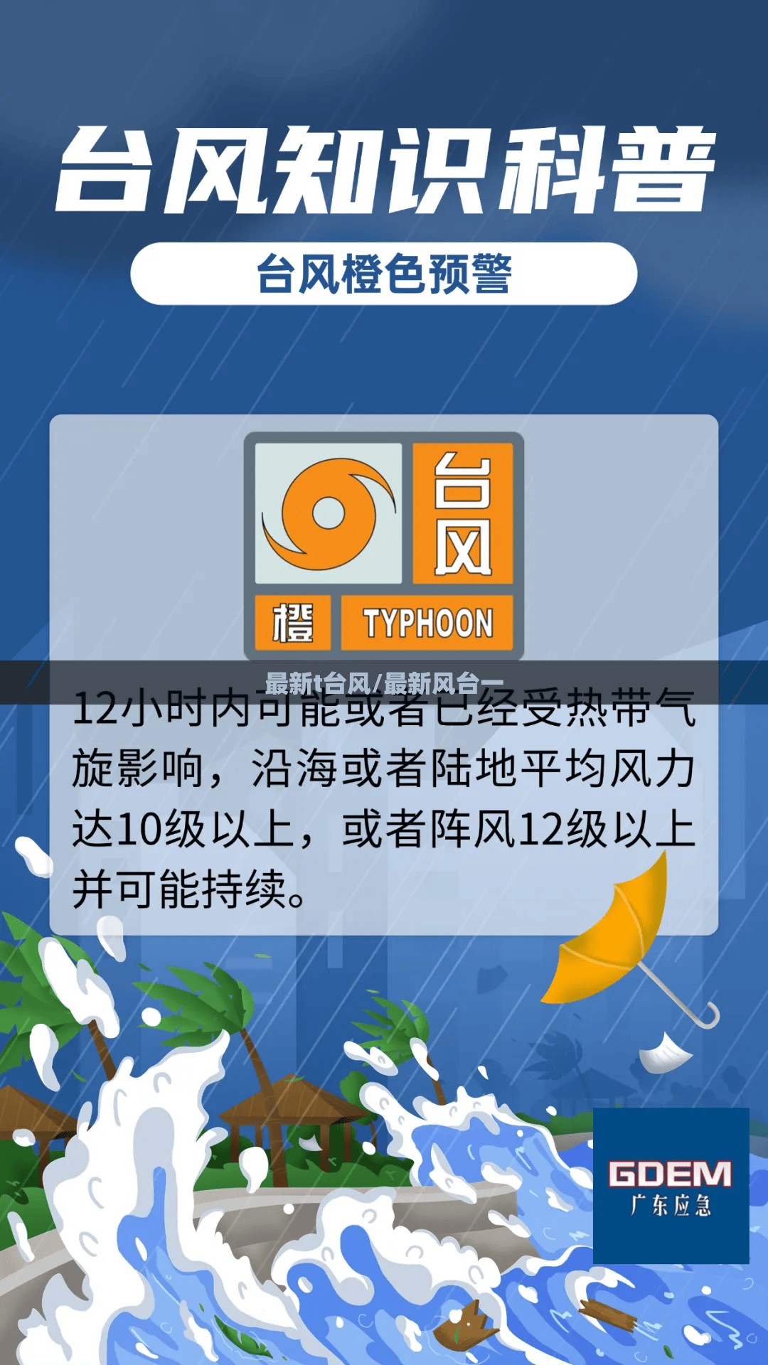 最新t台风/最新风台一