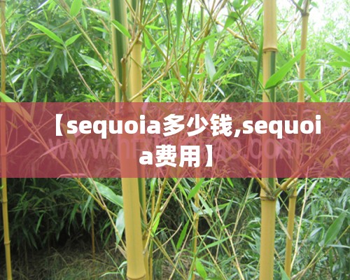 【sequoia多少钱,sequoia费用】