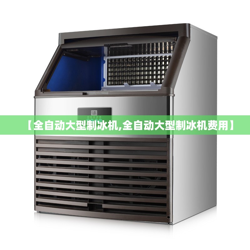 【全自动大型制冰机,全自动大型制冰机费用】