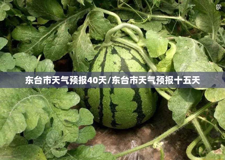 东台市天气预报40天/东台市天气预报十五天