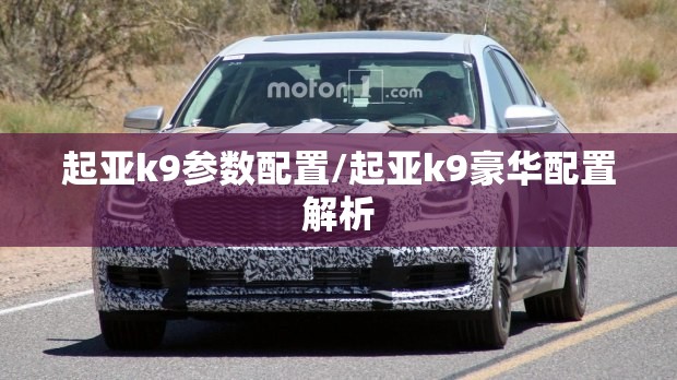 起亚k9参数配置/起亚k9豪华配置解析