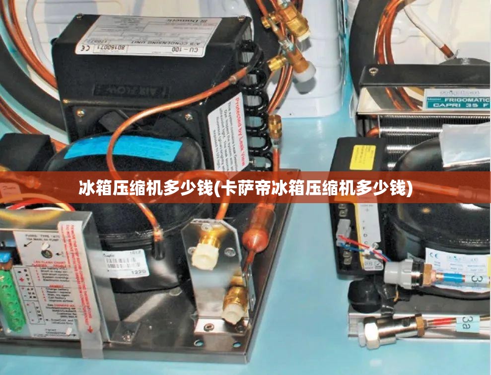 冰箱压缩机多少钱(卡萨帝冰箱压缩机多少钱)