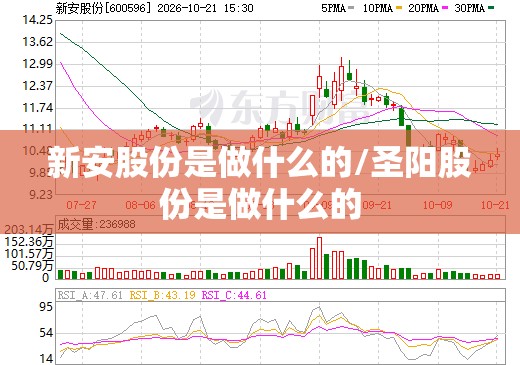 新安股份是做什么的/圣阳股份是做什么的