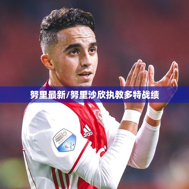 努里最新/努里沙欣执教多特战绩 努里最新/努里沙欣执教多特战绩