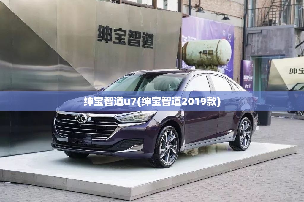 绅宝智道u7(绅宝智道2019款)