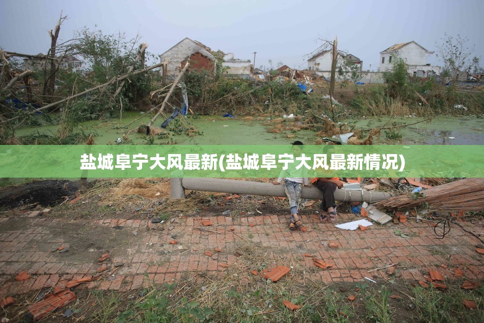 盐城阜宁大风最新(盐城阜宁大风最新情况) 盐城阜宁大风最新(盐城阜宁大风最新情况)