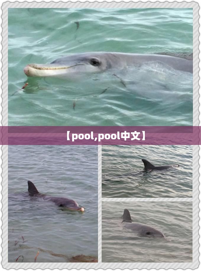 【pool,pool中文】 【pool,pool中文】