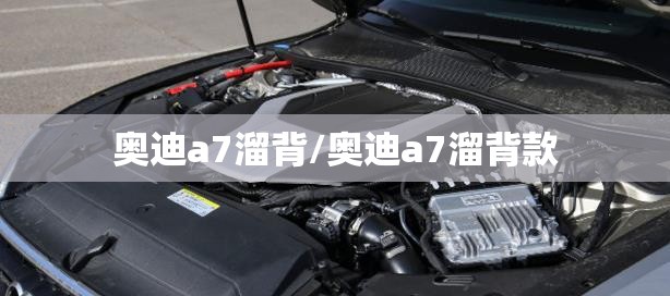 奥迪a7溜背/奥迪a7溜背款