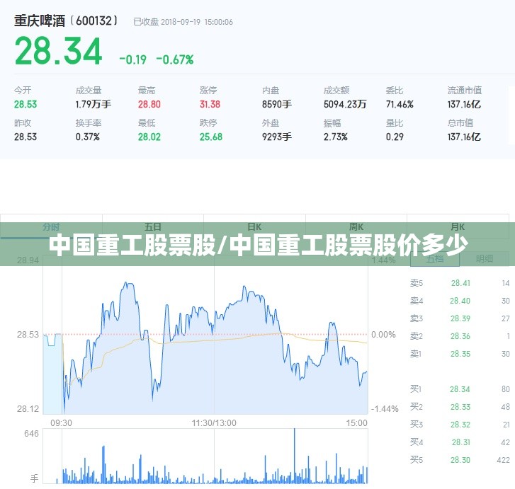 中国重工股票股/中国重工股票股价多少