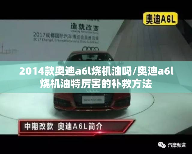 2014款奥迪a6l烧机油吗/奥迪a6l烧机油特厉害的补救方法 2014款奥迪a6l烧机油吗/奥迪a6l烧机油特厉害的补救方法