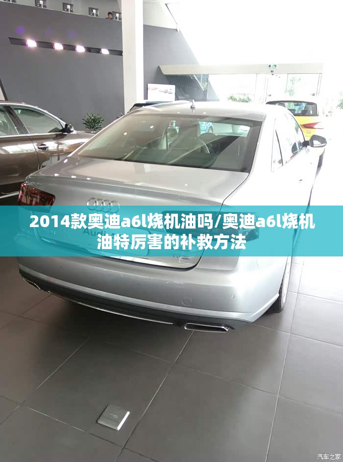 2014款奥迪a6l烧机油吗/奥迪a6l烧机油特厉害的补救方法 2014款奥迪a6l烧机油吗/奥迪a6l烧机油特厉害的补救方法